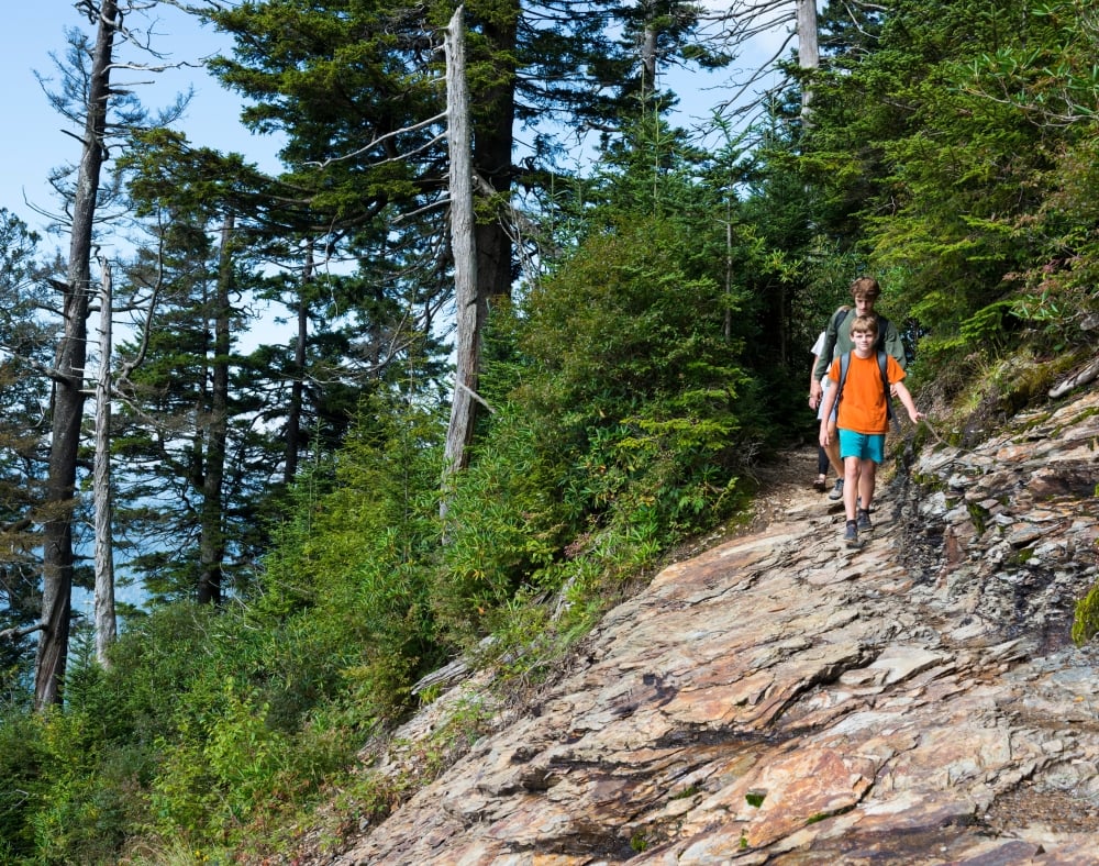 A young boy in an orange shirt leads two hikers descending a steep, rocky trail through a dense evergreen forest beneath a blue sky.