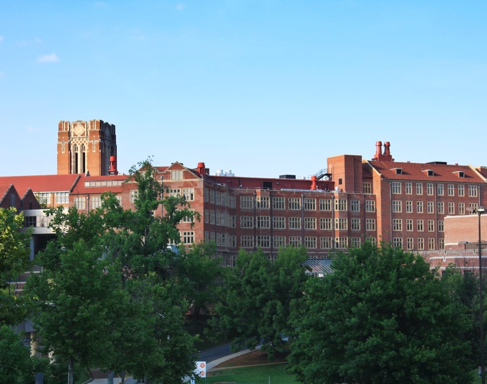 Brick university buildings, including a prominent clock tower, stand partially visible amidst green trees beneath a clear blue sky.
